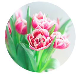 Same day Flowers Fortis Green 